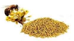 Bipollen ØKO