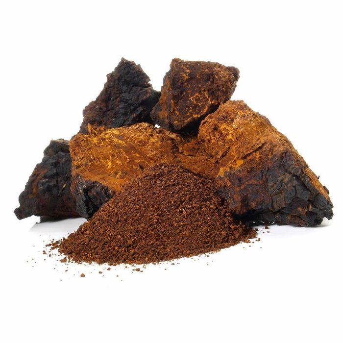 Chaga (pulver)