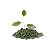 Chlorella (tabletter) ØKO