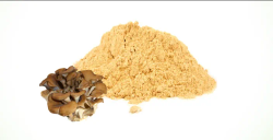 Maitake (pulver) ØKO