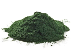 Spirulina (pulver) ØKO