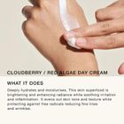 Strome Cloudberry & Red Algae Day Cream ØKO