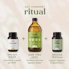Fushi Shilajit Blend